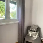 Cabedelo Seaside فيانا دو كاستيلو