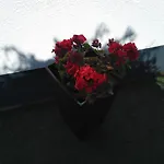 Cabedelo Seaside Holiday home *