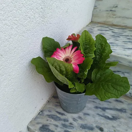 Cabedelo Seaside Ferienhaus *