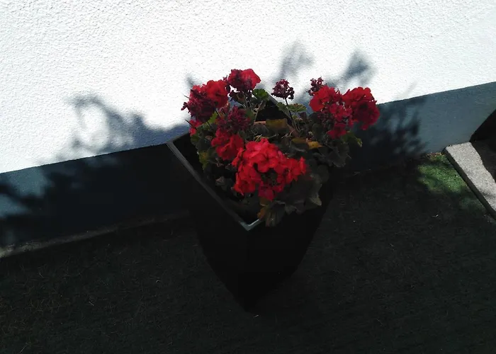 Cabedelo Seaside Tatil Evi *