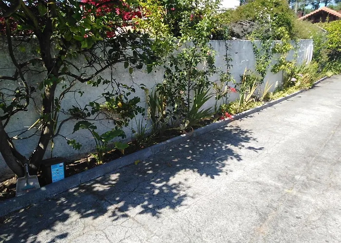 Cabedelo Seaside * Виана-ду-Каштелу