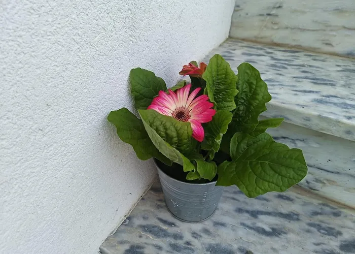 Cabedelo Seaside Tatil Evi *